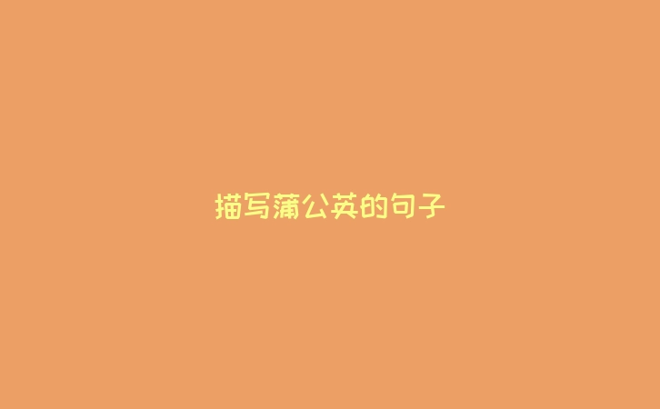 描写蒲公英的句子