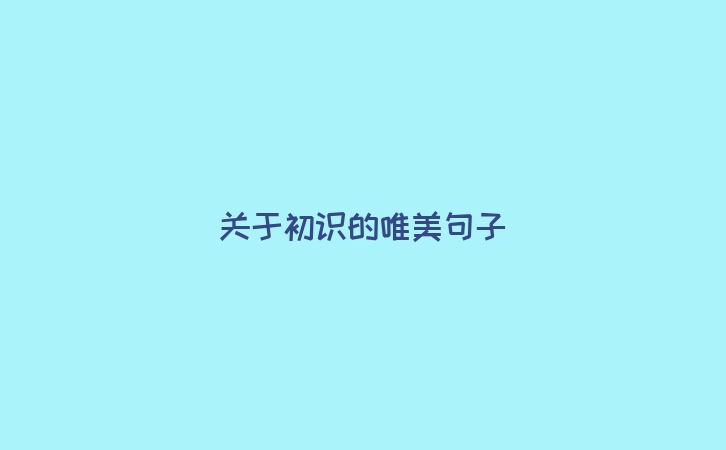 关于初识的唯美句子
