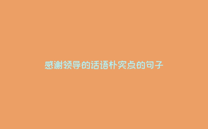 感谢领导的话语朴实点的句子