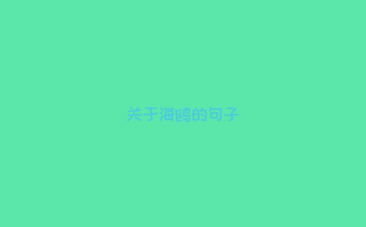 关于海鸥的句子