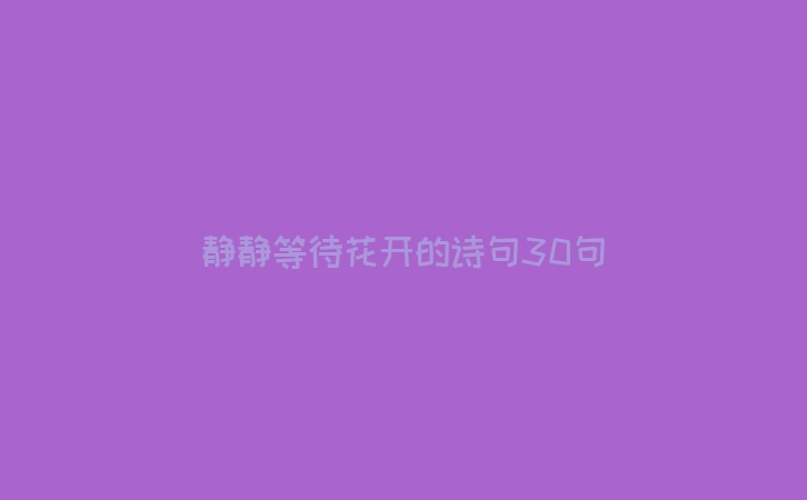 静静等待花开的诗句30句