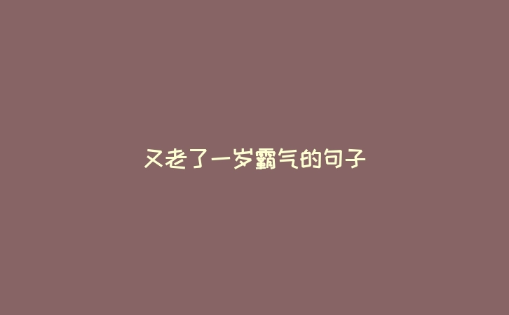 又老了一岁霸气的句子