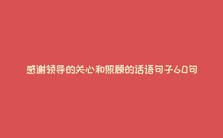 感谢领导的关心和照顾的话语句子60句