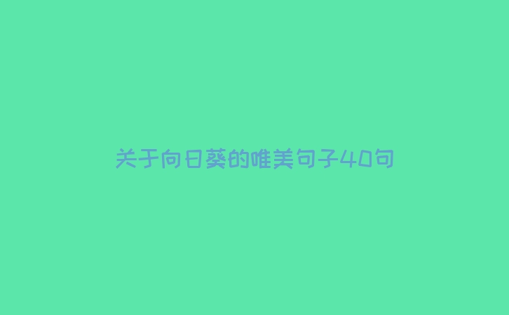 关于向日葵的唯美句子40句