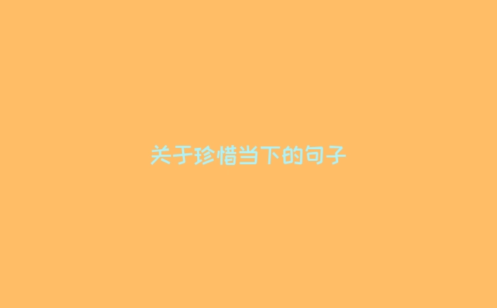 关于珍惜当下的句子