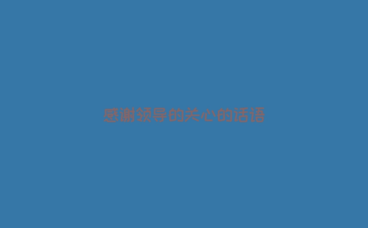 感谢领导的关心的话语