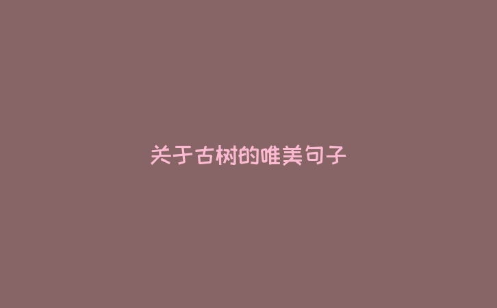 关于古树的唯美句子