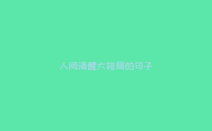人间清醒大格局的句子
