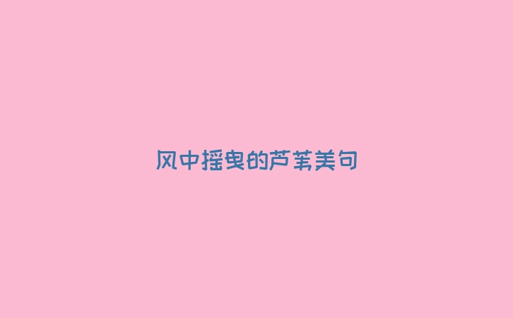风中摇曳的芦苇美句