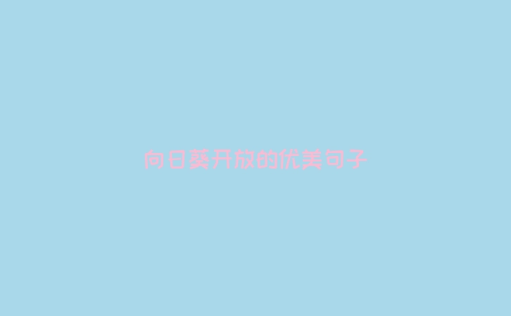 向日葵开放的优美句子