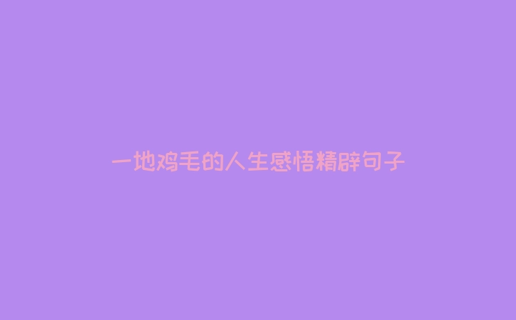 一地鸡毛的人生感悟精辟句子
