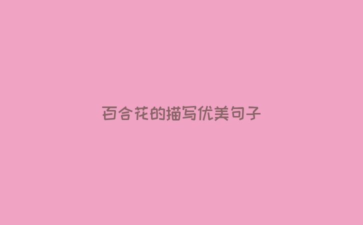 百合花的描写优美句子