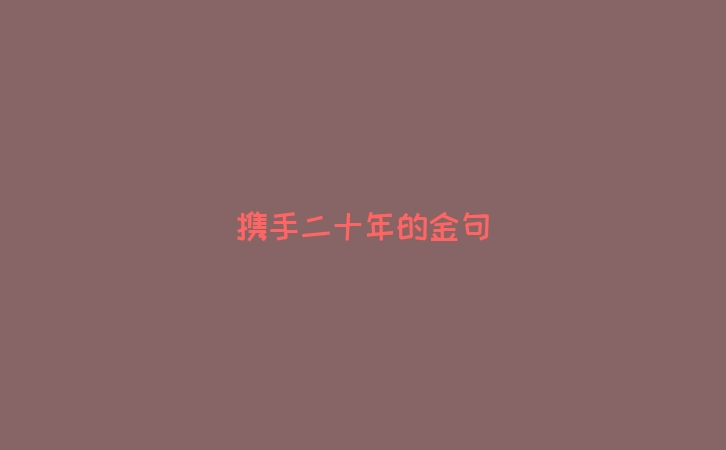 携手二十年的金句